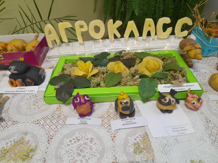АГРОКЛАСС: 2023-2024 учебный год.